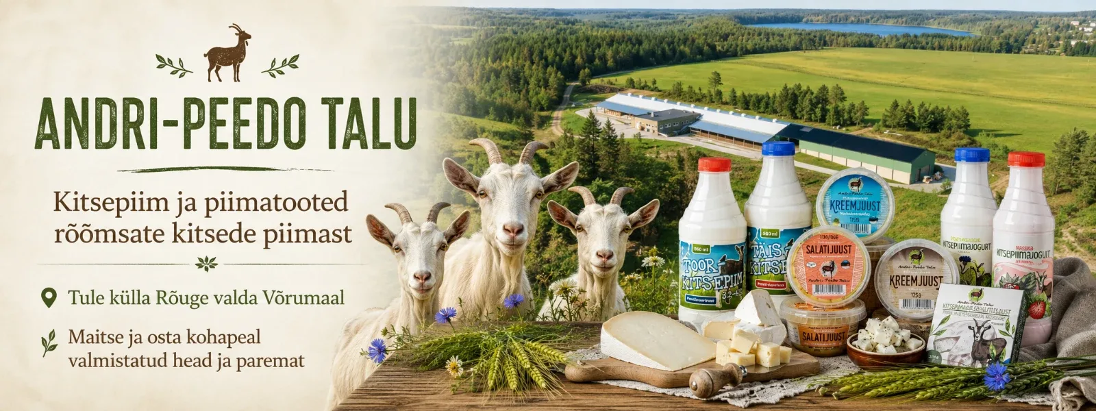 Andri-Peedo Talu presentation image