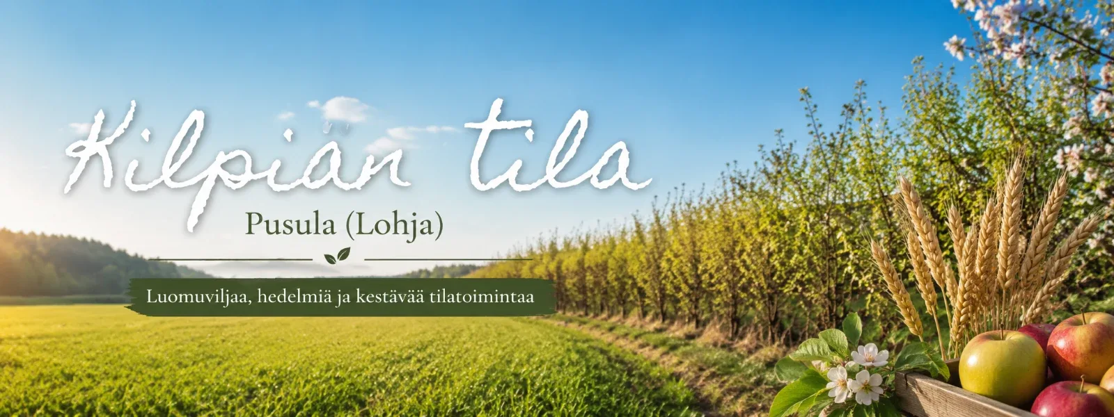 Kilpiän tila esittelykuva