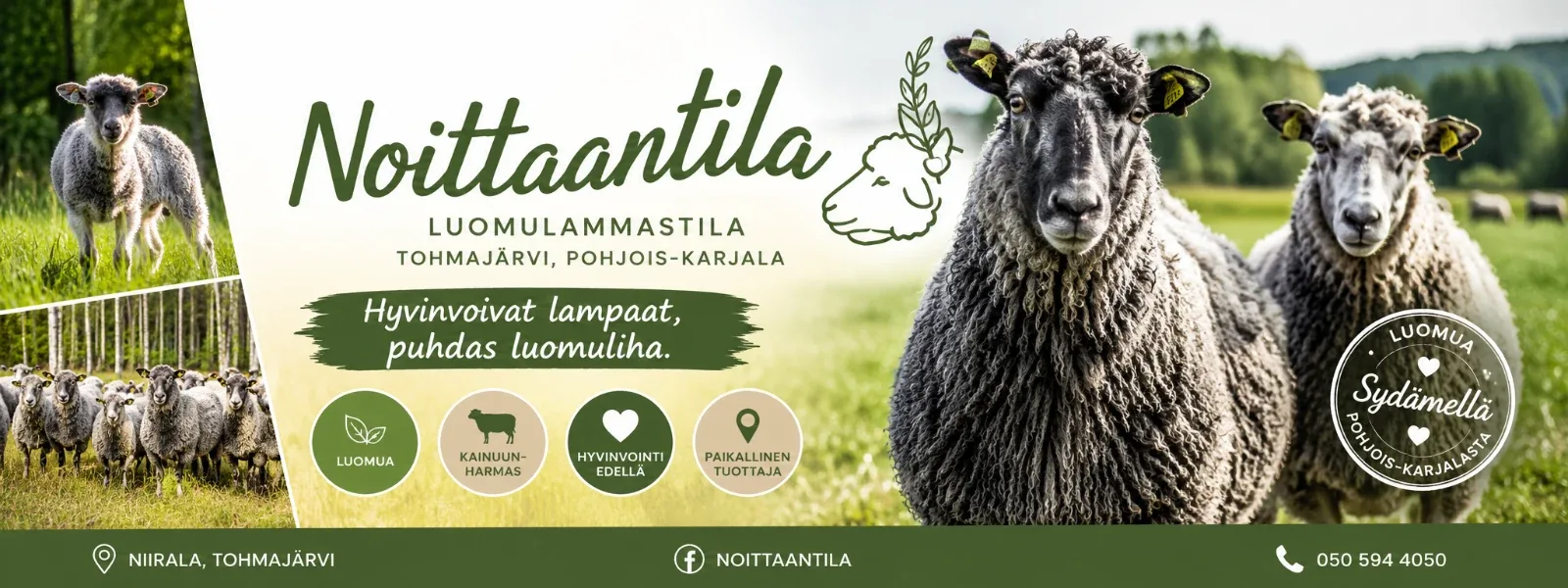 Noittaantila esittelykuva