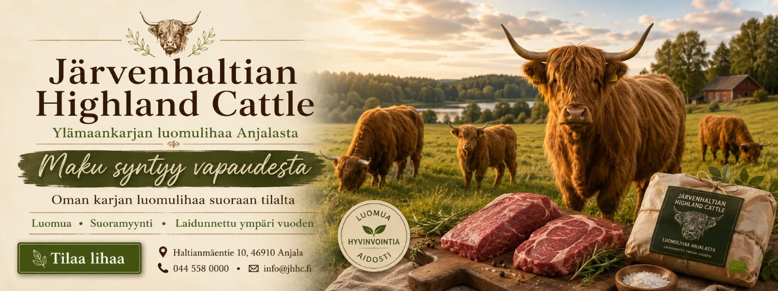 Järvenhaltian HighlandCattle esittelykuva