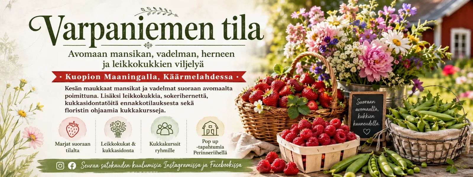 Varpaniemen tila esittelykuva