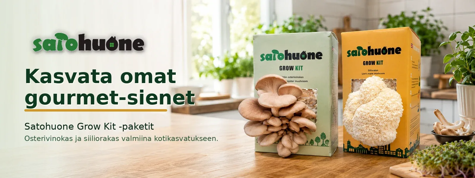 Satohuone esittelykuva