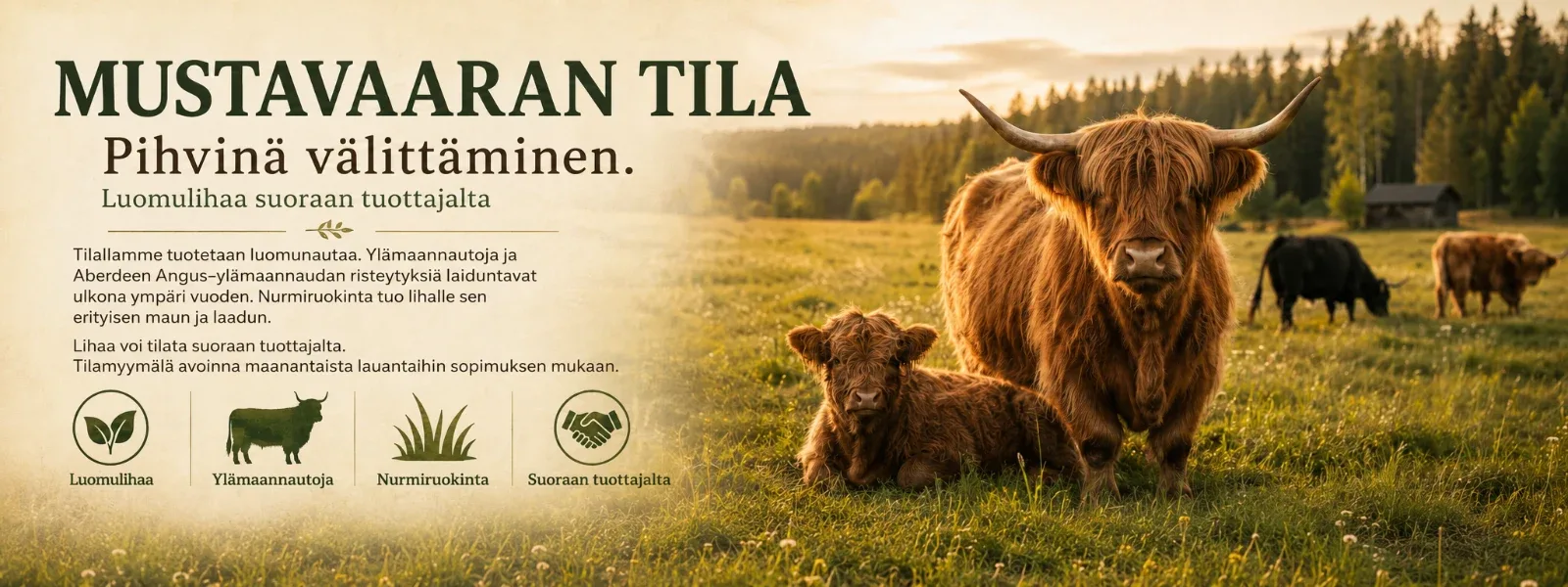 Mustavaaran tila esittelykuva