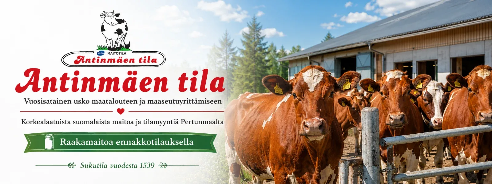 Antinmäen tila esittelykuva