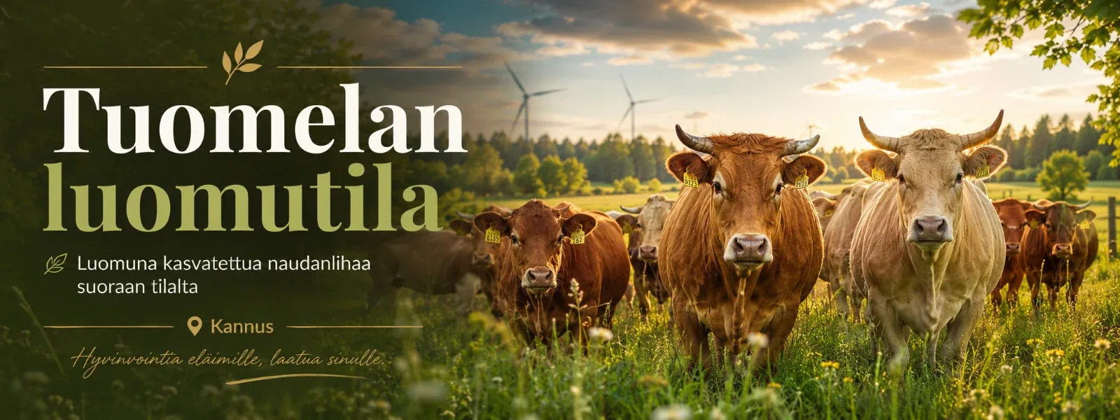 Tuomelan luomutila esittelykuva
