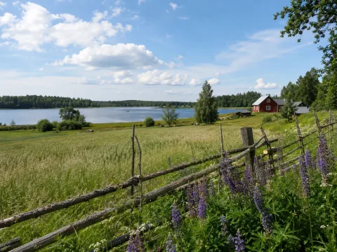 TESTITILA – Kuvia tilalta 1