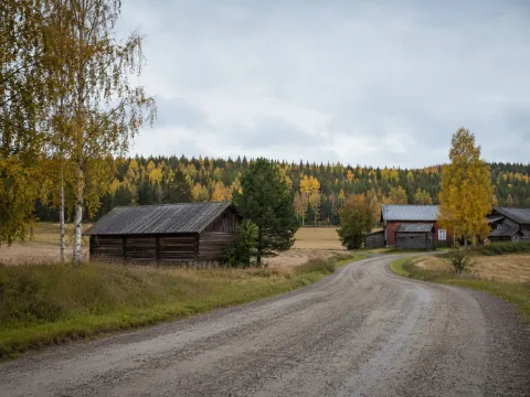 TESTITILA – Kuvia tilalta 2