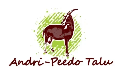 Andri-Peedo Talu logo