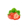 Vuorelan farmi logo